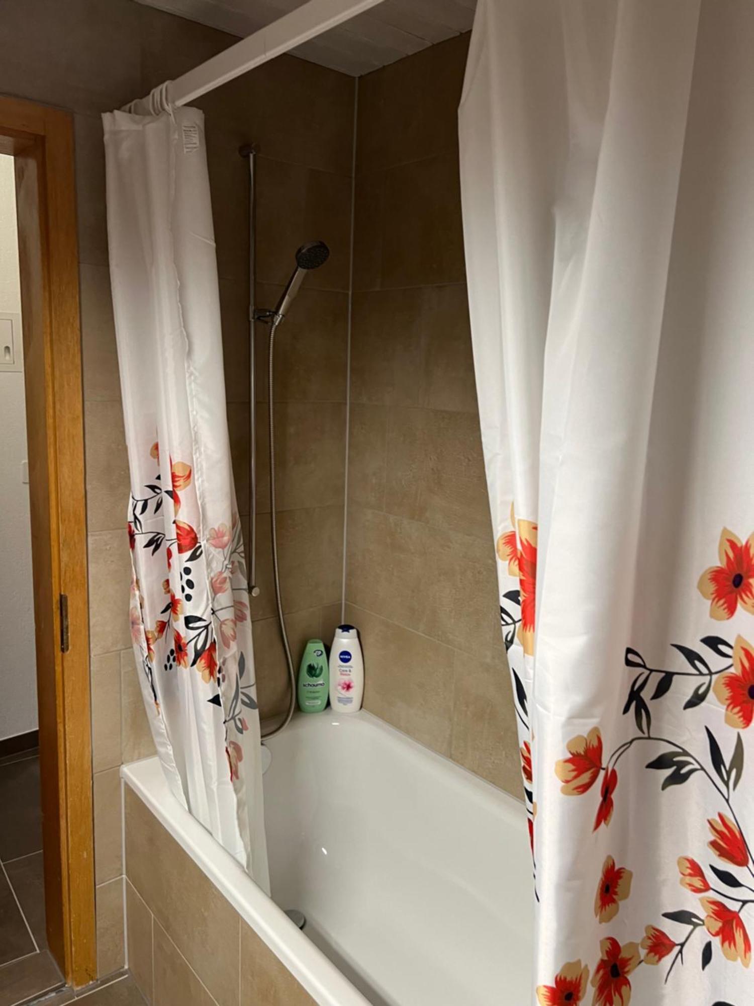 Apartament Rosy Интерлакен Экстерьер фото