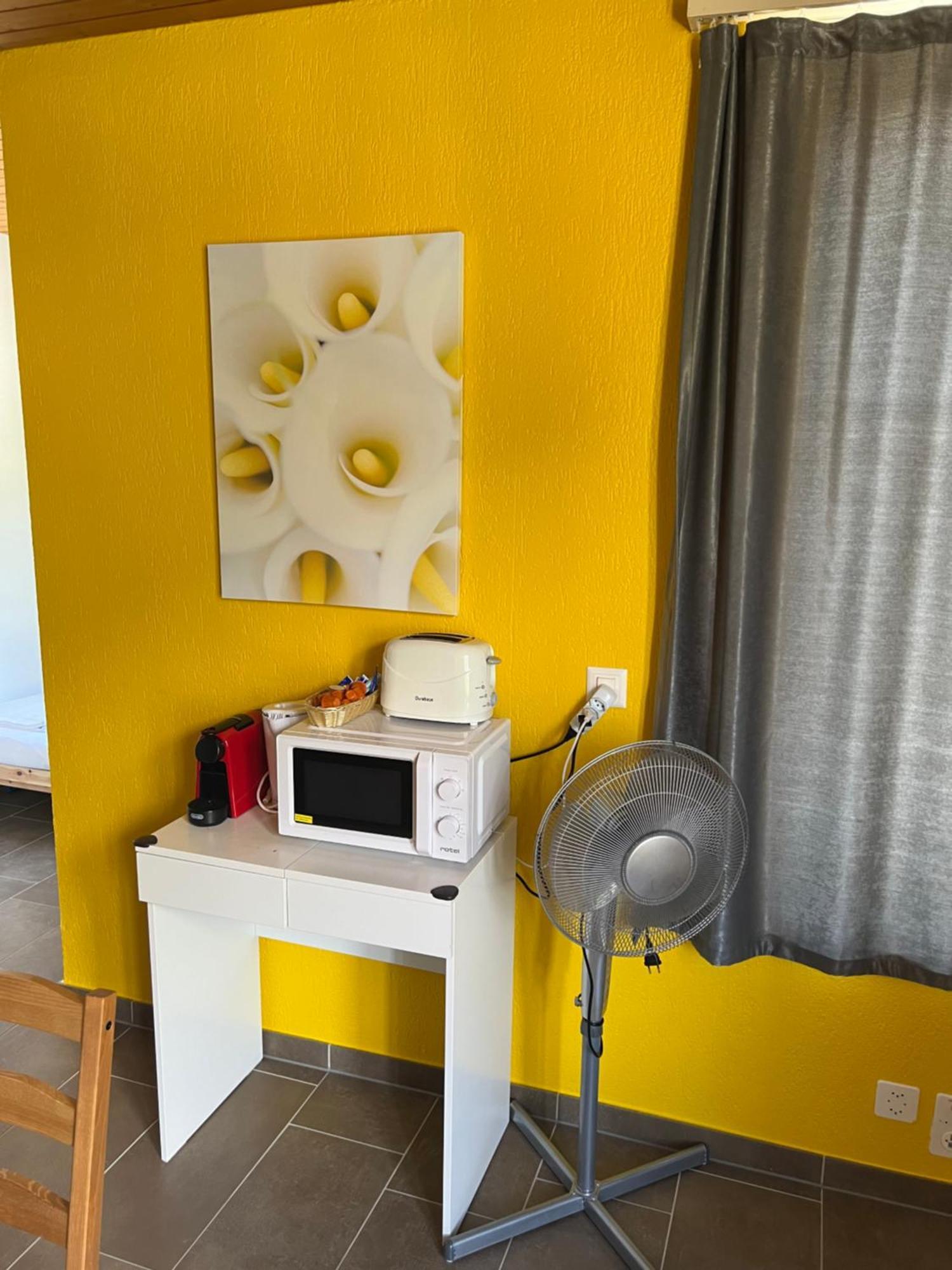 Apartament Rosy Интерлакен Экстерьер фото