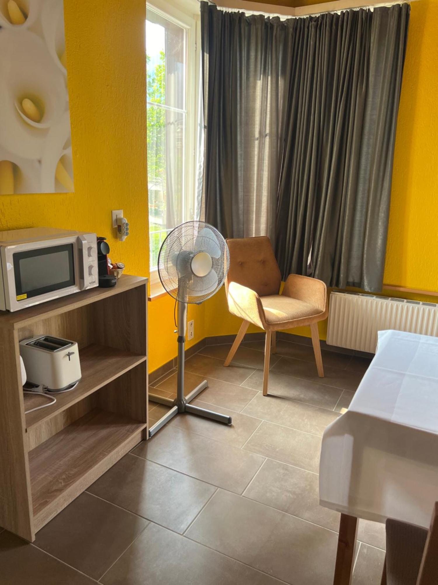 Apartament Rosy Интерлакен Экстерьер фото